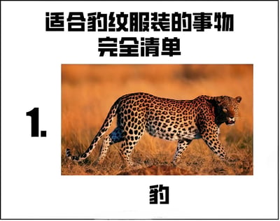 图片为一张幽默清单，标题为“适合豹纹服装的事物完全清单”。清单中仅列出一项：1. 豹，并配有一张真实豹子在草地上行走的照片。通过这种极简的清单形式，调侃只有豹子本身才适合穿豹纹服装，暗讽人类穿着豹纹服装可能显得不搭调的幽默效果。