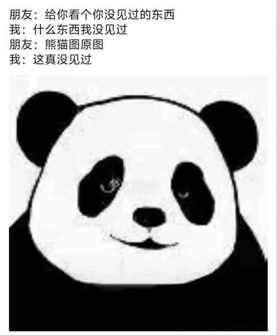 图片上方为朋友间的对话文本：朋友说“给你看个你没见过的东西”，“我”回应“什么东西我没见过”，朋友接着说“熊猫图原图”，“我”表示“这真没见过”。下方是一张黑白卡通熊猫的面部特写，熊猫有着标志性的黑眼圈、黑色耳朵和黑色鼻子，表情平静，嘴角微微上扬。整体通过对话制造反差幽默，调侃“熊猫图原图”这一概念。