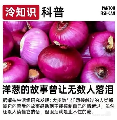 这是一张趣味冷知识科普的图文混排图，顶部左侧是红色底白字的“冷知识”搭配黑色的“科普”字样，右上角标注有英文“PANTOU FISH-CAN”；中间区域是多颗饱满的紫皮洋葱实拍图，视觉上清晰呈现洋葱的外观；下方是醒目的标题“洋葱的故事曾让无数人落泪”，紧接着是一段玩双关梗的文字：“据罐头生活组研究发现:大多数与洋葱接触过的人类都被它的背后的故事感动到不能控制自己的情绪过，虽然还没人读懂它的话，但眼泪就是止不住的流。”这里运用了双关手法，将人们切洋葱时因刺激性物质导致流泪的日常现象，调侃成是被洋葱的“故事”感动落泪，用幽默的方式包装生活中的小常识，增添趣味性。