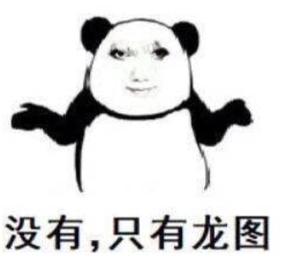 这是一张经过二次创作的熊猫头表情包，采用经典的黑白熊猫简笔画身体，脸部替换成了带着挑眉、表情戏谑的真人脸，角色双手摊开，做出类似摊牌的动作，下方配有文字“没有，只有龙图”，用于在网络对话中回应他人，表明自己没有对方索要的内容，只有和“龙图”相关的素材，整体风格搞笑戏谑，充满玩梗的趣味。