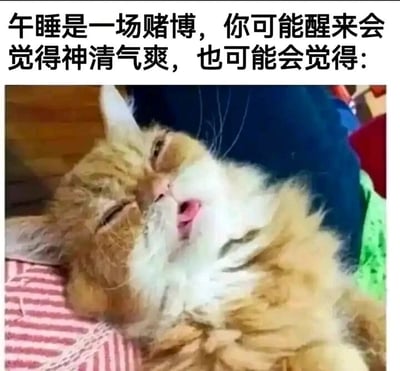 这是一张图文混排的静态单图，上方配有文字“午睡是一场赌博，你可能醒来会觉得神清气爽，也可能会觉得：”，下方是一只橘白相间的猫咪，它侧躺着，半睁着眼，嘴巴微张，神情疲惫昏沉，瘫软的姿态完美诠释了午睡睡过头或者睡眠质量不佳后，人醒来时那种昏昏沉沉、浑身无力、没睡醒的糟糕状态。图片用幽默的方式调侃了午睡的不确定性，精准戳中了上班族、学生群体在午睡后可能遇到的尴尬体验，容易引发大众共鸣。