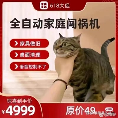 这是一张模仿电商618大促风格的搞笑P图，将拆家的狸花猫包装成一款名为「全自动家庭闯祸机」的“商品”。图中列出的“功能”精准吐槽猫咪的日常拆家行为：「家具做旧」对应猫咪抓挠损坏家具，「桌面清理」对应猫咪推落桌上物品，「语音控制不了」则调侃猫咪不听指令的天性。价格设置极具反差感，原价49元，“惊喜到手价”却标为4999元，搭配被手捏住脸部、表情惊恐的狸花猫画面，充满铲屎官对自家猫咪又爱又恨的吐槽感，用夸张的促销形式放大宠物拆家的搞笑日常。