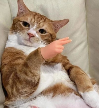 一只橘白相间的猫咪悠闲地躺在米色沙发上，眼神平静淡定，其前爪被P上了一只人类的手，做出伸出食指和中指指向侧面的手势。猫咪自然的表情与违和的人类手形成强烈反差，营造出幽默搞笑的效果，仿佛在一本正经地指示方向，让人忍俊不禁。
