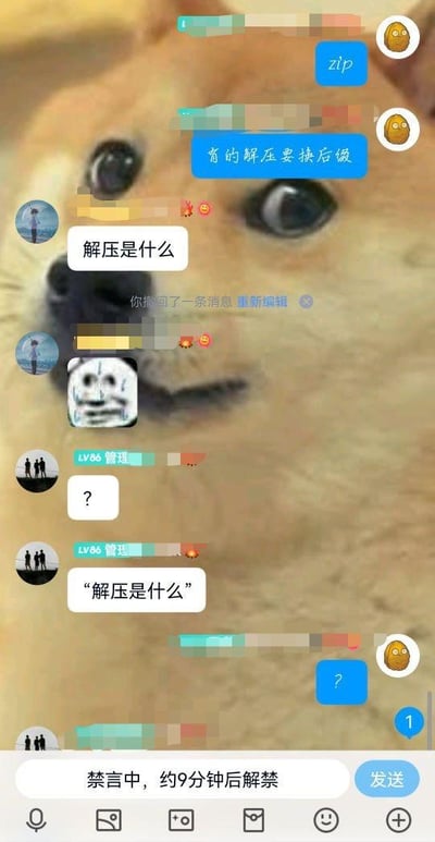 这是一张竖屏手机群聊截图，背景使用了经典的Doge（柴犬）疑惑脸表情包。聊天流程为：土豆头像的用户先发送“zip”和“有的解压要读后缀”，随后蓝圈头像的群成员询问“解压是什么”，还附带了暴走漫画的疑惑表情包，LV86管理员也跟着重复提问“解压是什么”，土豆头像用户发出问号表示疑惑，结果自己却被系统禁言，界面底部显示“禁言中，约9分钟后解禁”。整个对话充满迷惑感，管理员的跟风提问与提问者反被禁言的反差，制造出荒诞搞笑的效果，没有双关、谐音梗等内容。