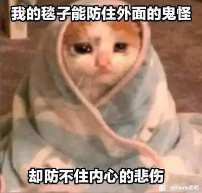 这是一张文字加注类的静态情绪表情包，主体是一只被蓝白带粉边的毯子紧紧裹住头部和身体的橘白猫咪，猫咪的眼睛湿润下垂，神情委屈落寞，满是悲伤，仿佛沉浸在低落的情绪中无法自拔。图片上方配有文字“我的毯子能防住外面的鬼怪”，下方配有文字“却防不住内心的悲伤”，通过外界威胁可抵御与内心悲伤难排解的强烈对比，用可爱软萌的猫咪形象搭配伤感的文案，形成反差感，精准地表达出一种外界的阻碍可以被隔绝，但内心的负面情绪却无处躲藏、难以消解的低落心境，非常适合在社交媒体聊天中用来抒发自己难过、emo的情绪。