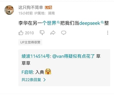 这是一张社交媒体平台的帖子截图，用户“这只狗不简单”（头像为柴犬，等级LV5）于15小时前在湖南发布内容“李华在另一个世界把我们当deepseek整”，该帖子获得2010个点赞，并显示“UP主觉得很赞”标签。下方评论区可见用户“绫波114514号”提到“@van得疑似有点花了 草”，“F启明”评论“入典 😂”，且共有22条回复。整体呈现了网络用户围绕“李华”和“deepseek”展开的调侃互动场景。
