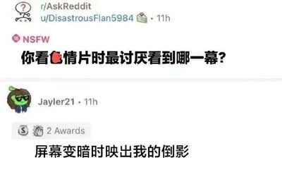 这是一张Reddit论坛r/AskReddit板块的社交媒体截图，用户u/DisastrousFlan5984发布了一条标记为NSFW（不适宜工作场合）的提问：“你看色情片时最讨厌看到哪一幕？”，用户Jayler21以一个幽默又尴尬的场景作为回答：“屏幕变暗时映出我的倒影”，这条评论还获得了2个社区奖励。该回答用贴近生活的尴尬瞬间制造了搞笑效果，精准戳中了很多人在观看私密内容时的社死时刻，容易引发共鸣。