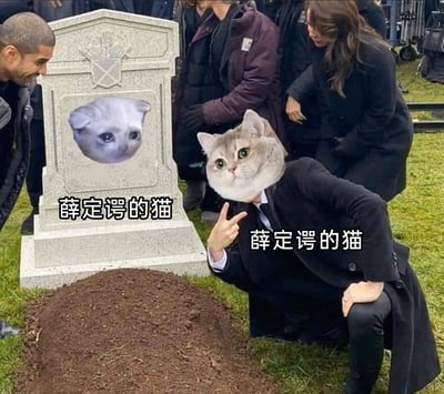 这是一张经过P图改编的搞笑梗图，场景设定在一个葬礼现场：墓碑的肖像位置被替换成了一只泪眼汪汪、表情悲伤的猫咪头像，下方标注文字“薛定谔的猫”；旁边蹲着的人物头部被替换成了一只表情疑惑的猫咪头像，人物比出V字手势，同样标注文字“薛定谔的猫”。这张图用具象化的方式调侃量子力学中的“薛定谔的猫”思想实验——在未进行观测时，猫同时处于“存活”和“死亡”两种叠加状态，图中分别呈现了这两种状态，通过葬礼的悲伤场景和猫咪搞怪的状态形成反差，制造幽默效果。