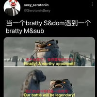 大龙