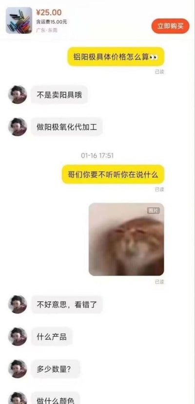 这是一张聊天记录截图，顶部显示了一个25元的商品信息（含15元运费，广东东莞发货）。聊天中，用户询问"铝阳极具体价格怎么算"，商家回复"不是卖阳具哦"，解释是"做阳极氧化代加工"。用户调侃"哥们你要不要听听你在说什么"，随后商家发了一张模糊的猫图并道歉"不好意思，看错了"，接着询问产品详情。

图片通过谐音梗制造笑点，"铝阳极"被商家误读为敏感词汇，产生了尴尬又搞笑的对话效果。