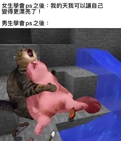 这是一张对比女生和男生学会PS后不同用法的幽默梗图。上方文字写道："女生學會ps之後：我的天我可以讓自己變得更漂亮了！男生學會ps之後："，下方图片展示了一只猫抱着一个粉色生物，背景是类似Minecraft的像素风格场景，猫张大嘴巴，表情夸张，营造出男生用PS创作荒诞内容的搞笑效果。图片通过鲜明对比，幽默地调侃了男女使用PS软件的不同倾向。