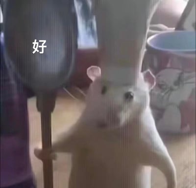 图片中是一只站立的白色老鼠玩偶，它用两只前爪抱着一个小型吸尘器，身体微微前倾，表情呆萌。玩偶位于画面中央，背景中可以看到模糊的家居环境，包括一个带有花纹的容器。左上角有一个醒目的白色"好"字，与玩偶认真干活的姿态形成有趣对比，整体氛围轻松可爱。
