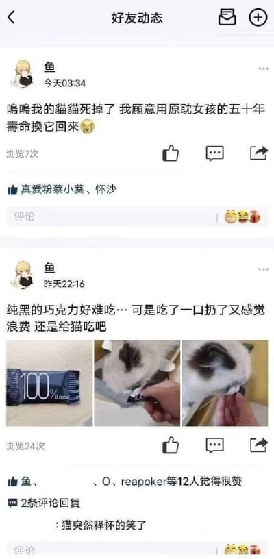 这张图片是一个社交媒体动态截图，展示了用户"鱼"发布的两条内容。最新一条发布于今天03:34，内容是："呜呜我的猫猫死掉了 我愿意用原耽女孩的五十年寿命换它回来"并配有一个哭泣表情。这条动态获得了7次浏览和点赞。

另一条发布于昨天22:16的动态内容是："纯黑的巧克力好难吃…可是吃了一口扔了又感觉浪费 还是给猫吃吧"，并配有三张图片：一张100%纯黑巧克力的照片，以及两张猫咪正在吃巧克力的照片。这条动态获得了24次浏览和12人点赞，评论区有人留言"猫突然释怀的笑了"。