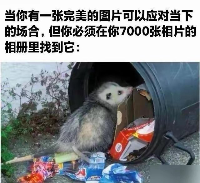 负鼠