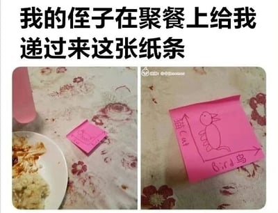 这是一张左右对比的静态多图拼接图，上方配有文字“我的侄子在聚餐上给我递过来这张纸条”。左侧画面呈现了聚餐的餐桌场景，桌上摆放着剩余的饭菜，一张折叠的粉色便签放在带有花纹的桌布上；右侧画面是展开后的粉色便签，上面画着一个结合了猫和鸟特征的简笔画小动物，同时标注了坐标轴，纵轴为“猫 Cat”，横轴为“鸟 Bird”，利用“猫（喵）”和“鸟（niao）”的谐音，组成谐音“尿”，委婉暗示自己想要去上厕所，用这种可爱又巧妙的方式表达需求，充满童真趣味，避免了在聚餐场合直接说的尴尬。