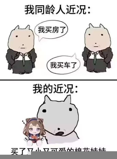 这是一张上下分栏的对比类梗图，上半部分以“我同龄人近况：”为标题，展示了两个身着西装、双手插兜的卡通狗头人角色，分别配对话气泡“我买房了”“我买车了”，呈现出同龄人在现实生活中达成的物质目标；下半部分以“我的近况：”为标题，是一个瘫坐状态的同款卡通狗头人，旁边摆放着一个可爱的棉花娃娃，配文“买了又小又可爱的棉花娃娃”。图中通过同龄人的物质收获与自己专注于爱好消费的强烈反差，用自嘲的方式调侃当代年轻人在生活选择和人生进度上的差异，传递出一种无奈又带着自我调侃的轻松情绪，图中没有双关、谐音梗或暗示内容。