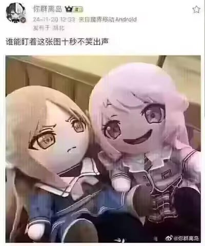 社交媒体用户发布的一张搞笑梗图，配图为两个动漫风格毛绒玩偶。左侧玩偶有着浅色长发，眉头微蹙，眼神中带着明显的担忧与困惑；右侧玩偶则是粉紫色头发，眼睛弯成月牙状，咧嘴大笑，表情十分夸张。两个玩偶并排坐立，形成强烈的表情反差，配合上方“谁能盯着这张图十秒不笑出声”的挑战文案，旨在通过可爱又滑稽的视觉效果引发观者笑意。