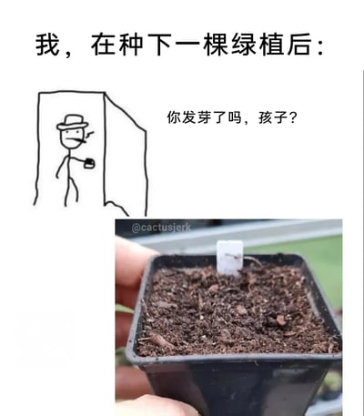 这是一张图文拼接的搞笑梗图，上方是一幅涂鸦风格的火柴人插画，火柴人戴着帽子、叼着烟、端着杯子，从门后探出头，配文“我，在种下一棵绿植后：你发芽了吗，孩子？”；下方是一张真实拍摄的花盆照片，花盆里只有湿润的泥土，没有任何绿植发芽的迹象。整张图用拟人化的方式，将种植绿植的人比作操心孩子的家长，生动地展现出新手种植者在等待绿植发芽时的焦虑与迫切心态，精准戳中了种植爱好者的日常趣味痛点，充满诙谐感。