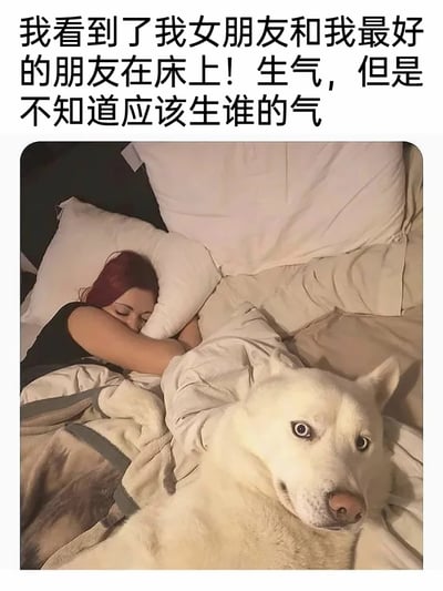 这是一张趣味搞笑梗图，上方配文“我看到了我女朋友和我最好的朋友在床上！生气，但是不知道应该生谁的气”，图片内容是一位红头发女子躺在床上熟睡，旁边的床上还有一只瞪大双眼、神态看起来有些心虚的白色狗狗。这里的“最好的朋友”指的是这只狗狗，通过文字和画面的反差制造幽默效果，让原本应该是狗血的剧情变成了让人哭笑不得的场景，纠结“生谁的气”的点也因为对象是狗狗而充满滑稽感，精准戳中网友的笑点，属于网络上流行的宠物搞笑类梗图。