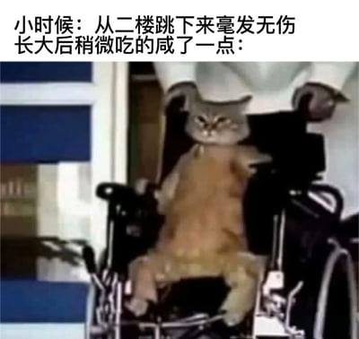 这张梗图通过文字和图片的幽默对比，展示了人们对童年和成年身体素质差异的调侃。上方文字写着'小时候：从二楼跳下来毫发无伤 长大后稍微吃的咸了一点：'，下方是一只表情严肃的猫坐在轮椅上的照片，形成有趣的反差效果。