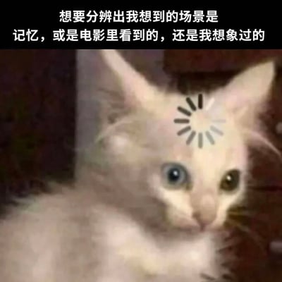 图片上方有一段文字："想要分辨出我想到的场景是记忆，或是电影里看到的，还是我想象过的"。下方是一只白色猫咪的特写，猫咪有一双蓝色的眼睛，额头被P上了一个黑色的太阳图案。猫咪表情看起来有些困惑，直视前方。