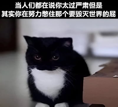 图片上方有一行白色文字：“当人们都在说你太过严肃但是其实你在努力憋住那个要毁灭世界的屁”。下方是一只黑白相间的猫，它有着黑色的头部和身体，胸前及爪子为白色，正坐在浅色地面上，眼神专注，表情看起来十分严肃，身旁有一个棕色的纸板箱。整体通过猫的严肃表情与文字内容形成幽默反差，营造出搞笑效果。