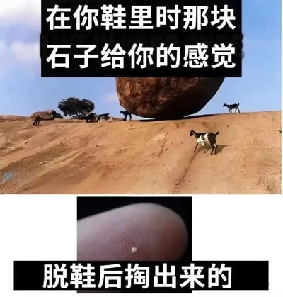 这是一张上下拼接的搞笑梗图，通过强烈的视觉反差来调侃日常体验：上图展示了一块巨大的圆石位于坡顶，下方的山羊显得十分渺小，其中一只山羊慌张地向下奔跑，配文“在你鞋里时那块石子给你的感觉”，用夸张的画面表现鞋里的石子带来的强烈异物感与不适感；下图则是一根手指，指尖上有一颗极其微小的白色碎渣，配文“脱鞋后掏出来的”，与上图形成巨大反差，生动还原了那种鞋里异物感强烈但实际掏出的“石子”却微不足道的生活小场景，充满趣味性。