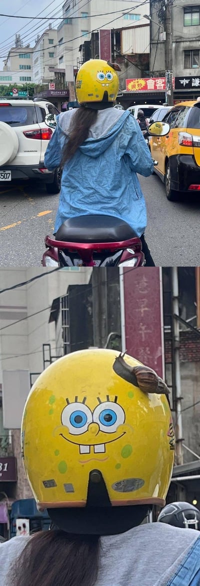 这是一组上下拼接的台湾街头实拍图，上图呈现一位身穿蓝色雨衣的路人骑着电动车，头戴手绘海绵宝宝图案的黄色头盔行驶在街道上；下图是头盔的特写，一只真实的蜗牛恰好趴在头盔顶部，和海绵宝宝的形象完美搭配，仿佛是海绵宝宝的宠物小蜗“附身”头盔，形成了极具趣味的巧合瞬间，可爱又治愈。