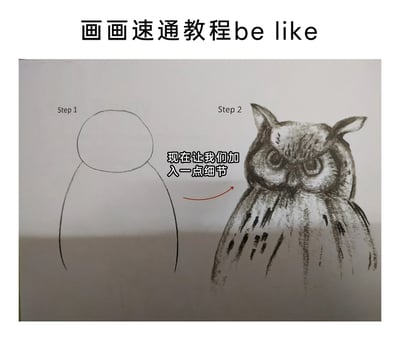 这是一张调侃画画教程的搞笑手绘梗图，顶部配有文字“画画速通教程be like”。画面左侧是Step1，仅用简单的线条勾勒出一个圆形加下方两条弧线的极简轮廓，是猫头鹰最基础的形态框架；右侧是Step2，一幅细节丰富、风格写实的猫头鹰素描，精准刻画了猫头鹰锐利的眼神、层次分明的羽毛纹理，神态严肃逼真。中间用红色箭头和文字“现在让我们加入一点细节”连接左右，巨大的步骤反差形成强烈的讽刺效果，吐槽了那些看似门槛低但实际跨度极大、对绘画新手极不友好的“速通教程”，通过夸张的对比制造出幽默搞笑的氛围。