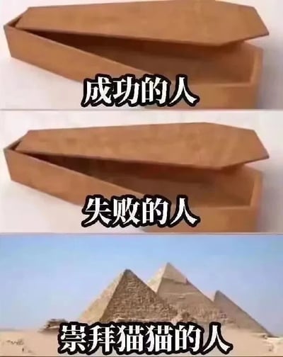 图片由三部分上下拼接组成：前两张图均为打开的棕色盒子，分别标注“成功的人”和“失败的人”，暗示无论成功与否最终归宿相同；第三张图为埃及金字塔群，标注“崇拜猫猫的人”，通过夸张对比制造幽默效果，调侃吸猫人士将猫咪视为神圣存在的心态。