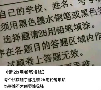 这是一张图文混排的搞笑梗图，上半部分是实拍的试卷答题注意事项截图，其中的文字出现打印语序错误，将原本正确的“请用2B铅笔填涂”错写为“请2B用铅笔填涂”；下半部分是网友配的调侃文字，吐槽考试时看到这句话会觉得仿佛被试卷称呼为“2B”，调侃其伤害性不高但侮辱性极强，错位的语序产生了搞笑的冒犯效果，很容易引发有考试经历的网友的共鸣。
