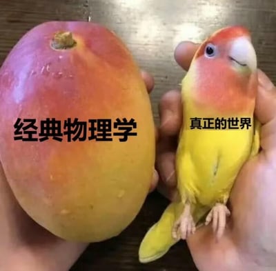 图片左侧是一只手捧着一个成熟的芒果，芒果表皮红黄相间，上方配有文字“经典物理学”；右侧是另一只手托着一只色彩鲜艳的鹦鹉（头部红色、身体黄橙渐变），鹦鹉歪头看向一侧，上方配有文字“真正的世界”。通过左右对比的构图，用芒果象征经典物理学（可能寓意其规则明确、可预测），用灵动的鹦鹉象征真实世界（可能寓意其复杂多变、充满意外），形成幽默的概念对比。