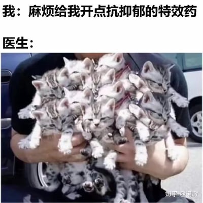 这是一张趣味治愈梗图，上方文字模拟了患者向医生索要抗抑郁特效药的场景，医生的“药方”则是满满一怀抱的软萌美短奶猫。图中利用视觉错位的合成手法，将真实小奶猫与衣服上的猫咪图案结合，营造出怀抱数十只奶猫的错觉，用猫咪自带的治愈感调侃它们是对抗抑郁的“特效药”，可爱的画面能瞬间消解负面情绪，精准戳中宠物爱好者的喜好，传递出宠物治愈情绪的暖心感。