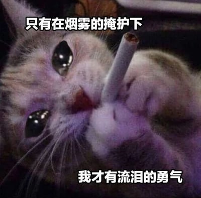 图片为一只猫咪的特写，它有着大大的、泛着水光的眼睛，表情看起来像是在流泪。猫咪用爪子叼着一根香烟，姿态拟人化。图片上方有文字“只有在烟雾的掩护下”，下方有文字“我才有流泪的勇气”，通过将猫咪赋予人类的情感和行为，以幽默的方式表达了隐藏脆弱、借由某种掩护才敢流露真实情绪的状态。