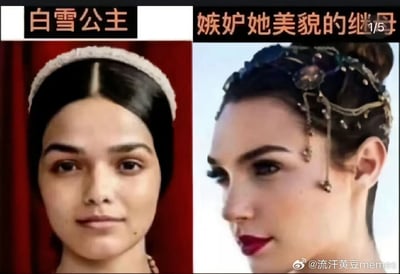 该图采用对比的方式，左侧为“白雪公主”，右侧为“嫉妒她美貌的继母”，配以两人头部照片，突出发饰、发型和服饰风格差异，通过文字强调经典童话中外貌评价的反转梗。整个画面设有强烈对比效果，暗示现实与童话中“谁最美”的争议，或对影视改编中选角的吐槽与调侃。图片右下角有“黄豆memes”水印。

无特别的谐音或双关梗，但整图带有戏谑和反讽意味。