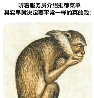 图片上方为黑色文字：“听着服务员介绍推荐菜单 其实早就决定要平常一样的菜的我:”，下方是一幅猴子的插画。猴子呈坐姿，身体微微前倾，一只手托着下巴，眼神低垂，表情专注，仿佛在认真倾听服务员的推荐，但内心早已确定要点常吃的菜品。插画风格为素描质感，以棕色和米色为主色调，整体营造出一种幽默调侃日常点餐场景中内心想法与外在表现反差的氛围。