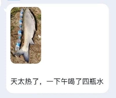 这是一张表情包图片，展示了一条大鱼旁边整齐地排着四瓶矿泉水。配文“天太热了，一下午喝了四瓶水”，用幽默双关调侃天气炎热，同时又用水瓶和鱼对比长度，形成趣味视觉梗。带有夸张和搞笑气质，属于网友用图配文的经典钓鱼段子扩展梗。