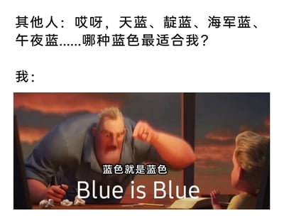 这是一张对比类搞笑梗图，采用上下图文混排的形式。上方文字呈现出一部分人对颜色细分的纠结状态：纠结天蓝、靛蓝、海军蓝、午夜蓝等不同细分蓝色哪种更适合自己；下方是迪士尼动画《超人总动员》的角色截图，超能先生巴鲍勃愤怒激动地前倾身体，握拳抬臂，对着面前的小孩大喊，配文“蓝色就是蓝色 Blue is Blue”，以此表现另一部分人对过度细分事物的不耐烦，秉持简单直接的态度，通过夸张的动画角色表情强化了两种态度的反差，充满诙谐感。