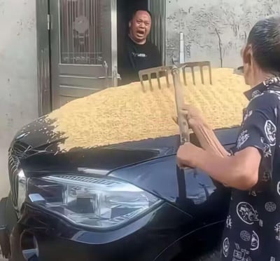 画面呈现了充满反差感的生活场景：一位大妈手持农用耙子，将收获的稻谷铺在一辆黑色宝马车的引擎盖和车头上晾晒；房屋门口的车主（中年男子）看到这一幕，张大嘴巴崩溃大喊，满脸都是愤怒和心疼。豪车被用来承担农作晒粮的用途，强烈的场景对比制造出搞笑又无奈的效果，没有双关或谐音梗。