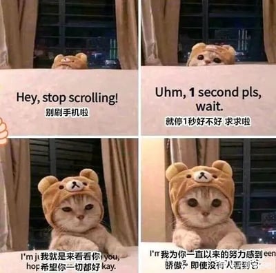 暂无描述