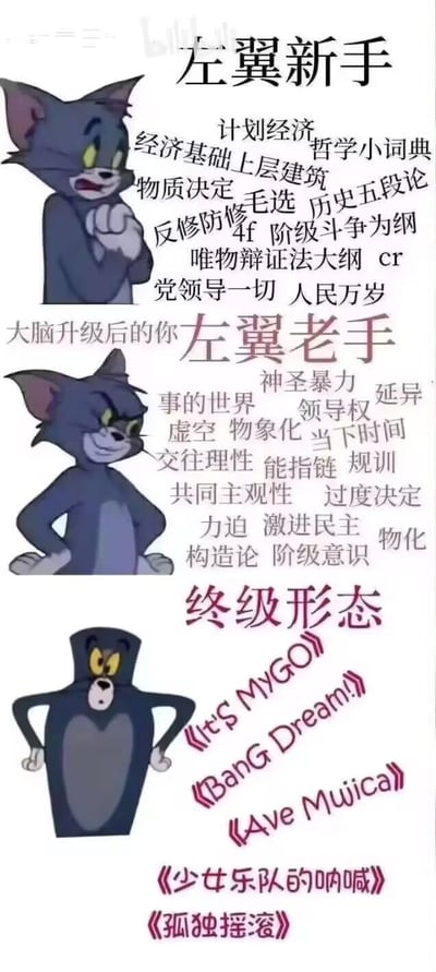 这张梗图用《猫和老鼠》里汤姆猫的三个阶段，玩了「左翼爱好者进阶」的反差梗：
1. **左翼新手**：汤姆露出纠结焦虑的表情，围绕的是计划经济、毛选、阶级斗争等经典左翼理论相关词汇；
2. **左翼老手**：汤姆自信叉腰，词汇变成神圣暴力、物化、激进民主等偏向西方左翼批判理论的术语；
3. **终极形态**：汤姆变成瓶子造型，内容直接变成沉迷《It's MyGO!!!》《BanG Dream!》等少女乐队题材动画，用「最终都逃不过沉迷二次元」的反差感制造笑点。
