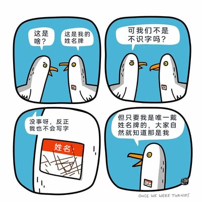 这是一则四格搞笑卡通漫画，内容围绕两只海鸥展开：第一格中，一只海鸥疑惑地向另一只海鸥发问“这是啥？”，戴有姓名牌的海鸥回应“这是我的姓名牌”；第二格中，提问的海鸥提出质疑“可我们不是不识字吗？”；第三格中，戴姓名牌的海鸥展示自己的姓名牌，牌面“姓名：”后方是一片乱涂的线条，它满不在乎地说“没事呀，反正我也不会写字”；第四格中，这只海鸥得意地表示“但只要我是唯一戴姓名牌的，大家自然就知道那是我”。漫画通过海鸥这种看似无厘头的逻辑，制造反差感，用荒诞的方式诠释了“独特性标识身份”的搞笑思路。