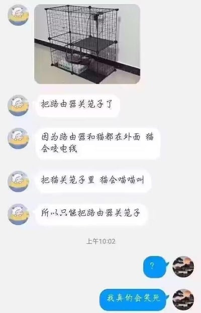 这是一段微信聊天记录截图，一方先是发送了一张将路由器关在宠物笼中的照片，随后解释了这个操作的原因：如果路由器和猫都放在外面，猫会咬电线；要是把猫关在笼子里，猫会一直喵喵叫，权衡之下只能选择把路由器关在笼子里。另一方看到后回复了问号和“我真的会笑死”，以此调侃这个清奇又搞笑的解决思路，整体是充满生活趣味的养猫日常小插曲，没有双关、谐音梗等内容。