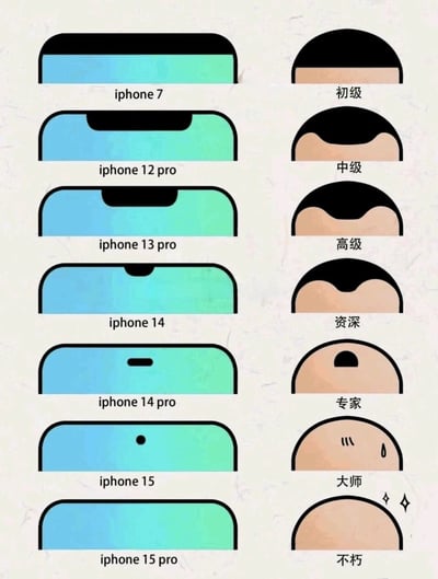 这是一张趣味对比类静态图，采用左右分栏的图文混排形式。左侧从上至下依次展示了iPhone7、iPhone12 pro、iPhone13 pro、iPhone14、iPhone14 pro、iPhone15、iPhone15 pro共七款机型的屏幕顶部设计，呈现了苹果手机从大刘海逐步缩小到灵动岛，再到仅保留小圆点，最终实现无刘海全屏的外观迭代过程；右侧则对应将这些设计变化类比为不同资历职场人的脱发状态：初级职场人对应正常发量，中级、高级职场人发际线开始后移，资深职场人发际线后移程度加深，专家级职场人头顶仅存少量头发，大师级职场人头顶只剩小部分头发且带有焦虑流汗的表情，不朽级职场人则完全光头。整张图以幽默的方式，将数码产品的外观迭代与职场人普遍面临的脱发困扰相结合，引发职场群体的共鸣。