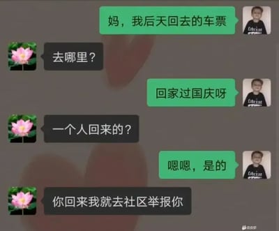 这张梗图展示了一段微信聊天对话，主角向妈妈汇报自己买了回老家的车票准备国庆节回家。妈妈询问是否一个人回家后，直接回复“你回来我就去社区举报你”，搞笑地展现了疫情期间家长高度警惕、对外来人员返乡的紧张氛围，也暗示了疫情防控下对家庭成员的无奈。对话形式幽默，带有反差梗，轻松调侃了家长的“严格”态度。