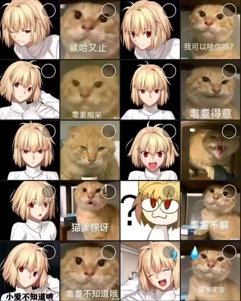 耄耋（猫爹）