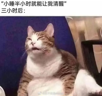 图片上方配有文字“小睡半小时就能让我清醒”和“三小时后：”，下方是一只棕白相间的猫正仰头惬意地打哈欠，慵懒地坐在蓝色沙发上。通过文字与猫咪神态的对比，幽默展现了人们本想小睡却意外睡过头的真实生活场景，十分接地气。