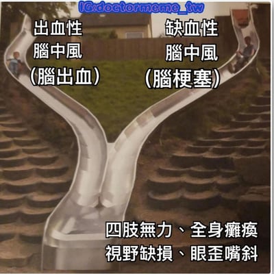 這是一張用Y型滑梯比喻腦中風兩種類型的梗圖。圖中Y型滑梯的左右兩條滑道上分別有兒童滑下，左側滑道標註「出血性腦中風 (腦出血)」，右側標註「缺血性腦中風 (腦梗塞)」，底部則列出腦中風的常見症狀：「四肢無力、全身癱瘓 視野缺損、眼歪嘴斜」。圖片上方有水印「IG:doctormeme_tw」，背景為戶外草地和房屋。