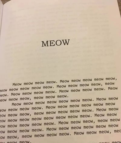 一张书页的照片，页面中央用较大字号显示“MEOW”字样，周围布满了重复的小写“meow”文字，形成一种充满趣味的视觉效果。整页内容全部由猫叫声“meow”的不同大小写组合构成，呈现出一种荒诞又可爱的创意设计。