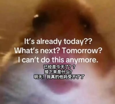 这张图片展示了一个人模糊的面部特写，表情看起来非常疲惫和沮丧。图片上叠加了中英文文字，表达了对时间快速流逝的无力感和崩溃情绪："It's already today?? What's next? Tomorrow? I can't do this anymore. 已经是今天了？？接下来是什么？明天？我真的他妈受不了了"。这种表达方式通常用于幽默或夸张地表达对日常生活节奏过快、压力过大的感受。
